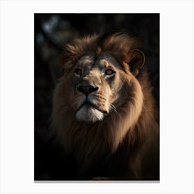 Lion Portrait Canvas Print