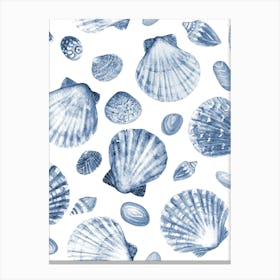 Blue Seashells 3 Canvas Print