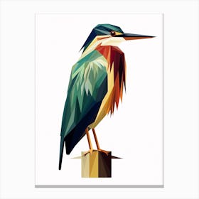 Colourful Geometric Bird Green Heron 2 Canvas Print