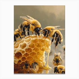 Andrena Bee Realism Illustration 16 Canvas Print