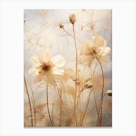 Boho Dried Flowers Love In A Mist Nigella 5 Canvas Print