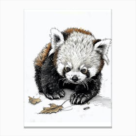 Red Panda Cub Playing With A Fallen Leaf Ink Illustration 3 Canvas Print