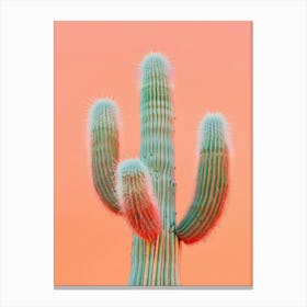 Saguaro Cactus 4 Canvas Print