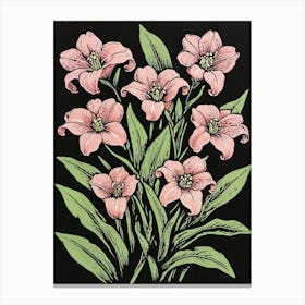 Pink Lilies Canvas Print