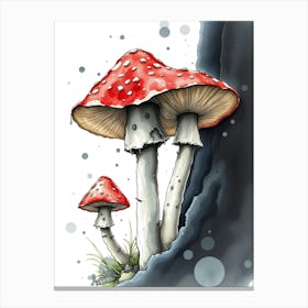 Mushrooms On A Rock Canvas Print