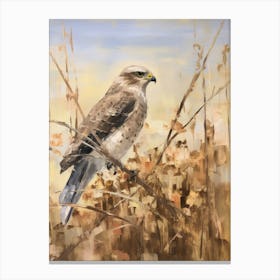 Bird Painting Eurasian Sparrowhawk 3 Canvas Print