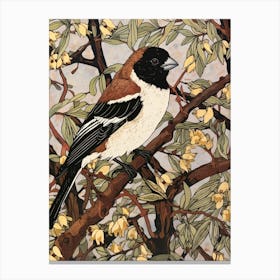 Art Nouveau Birds Poster House Sparrow 4 Canvas Print