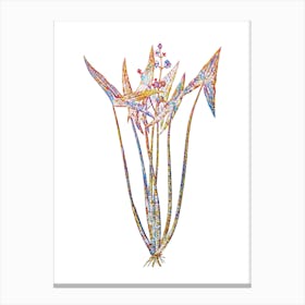 Stained Glass Arrowhead Mosaic Botanical Illustration on White n.0106 Canvas Print
