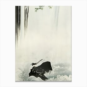 Japanese wagtail at waterfall Canvas Print