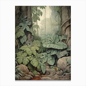 Vintage Jungle Botanical Illustration Philodendron 1 Canvas Print