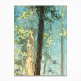 Tree In The Forest 3 Canvas Print