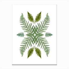Flowing Ferns Canvas Print