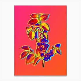 Neon Field Elm Botanical in Hot Pink and Electric Blue n.0301 Canvas Print