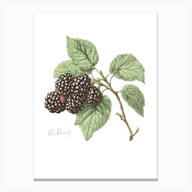 English Hedgerow Blackberry - Botanical Wall Print Set | Floral Collection Canvas Print