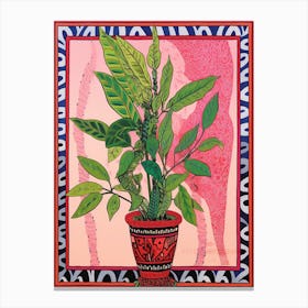 Pink And Red Plant Illustration Zz Plant Zamicro 2 Canvas Print