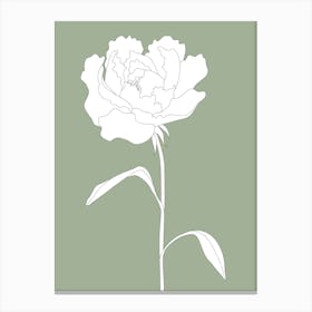 Flower Sage Green_2456172 Canvas Print