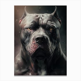 Black dog 1 Canvas Print