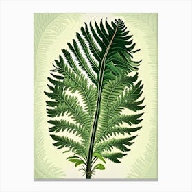 Tassel Fern 1 Vintage Botanical Poster Canvas Print