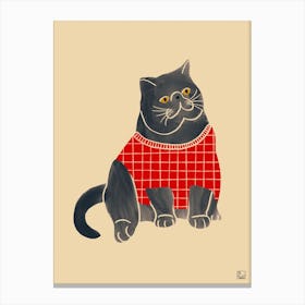Cat With Red Sweater Canvas Print