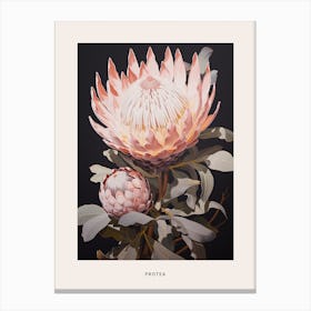 Flower Illustration Protea 11 Poster Canvas Print