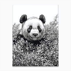 Giant Panda Hiding In Bushes Ink Illustration 3 Canvas Print