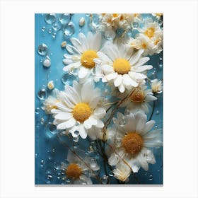 Daisies In Water 4 Canvas Print