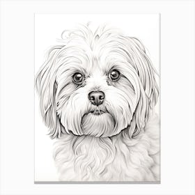 Maltese Dog, Line Drawing 2 Canvas Print