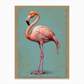 Flamingo 10 Canvas Print