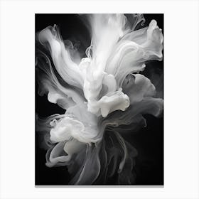 Ephemeral Beauty Abstract Black And White 8 Canvas Print
