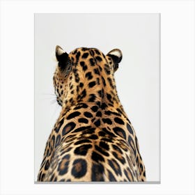 Back Of A Jaguar Canvas Print