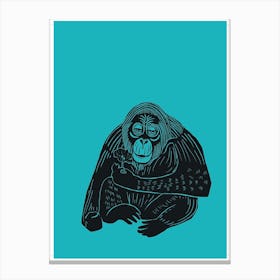 Orangutan - Aqua Canvas Print