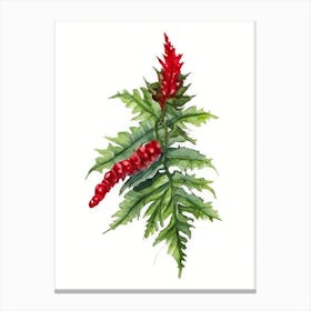 Chinese Holly Fern Watercolour Canvas Print