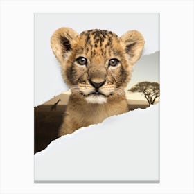 Lion Cub Torn Paper Canvas Print