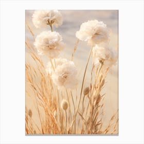 Boho Dried Flowers Carnation Dianthus 3 Canvas Print