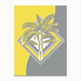 Vintage Banana Tree Botanical Geometric Art in Yellow and Gray n.253 Canvas Print