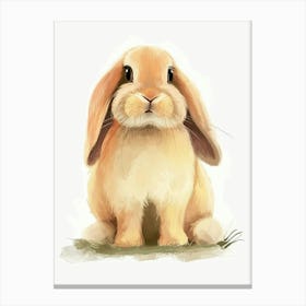 Holland Lop  Rabbit Kids Illustration 1 Canvas Print