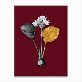 Vintage Cardwell Lily Black and White Gold Leaf Floral Art on Burgundy Red n.0775 Canvas Print