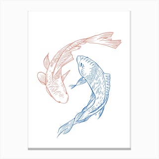 Red And Blue Koi Fish Canvas Print