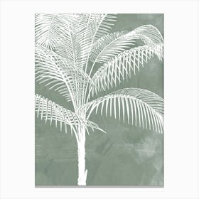 Palm Tree Leaves in Sage Green, Tropical Botanical Canvas Print