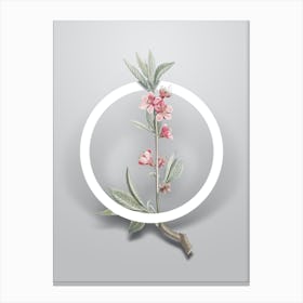 Vintage Pink Flower Branch Minimalist Floral Geometric Circle on Soft Gray n.0554 Canvas Print