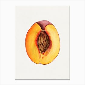 Peach 2 Canvas Print