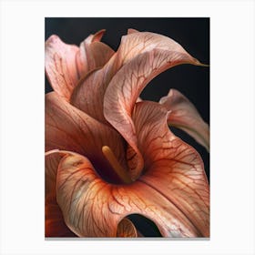 Orange Flower 4 Canvas Print