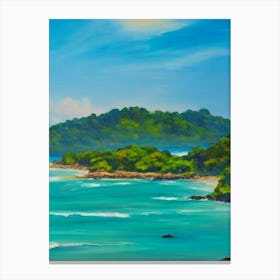 Manuel Antonio National Park Costa Rica Blue Oil Painting 1  Canvas Print