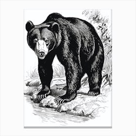 Malayan Sun Bear Standing On A Riverbank Ink Illustration 3 Canvas Print