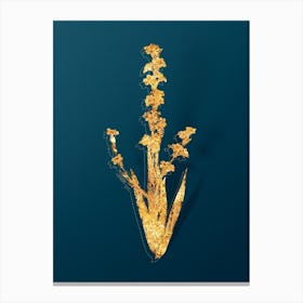 Vintage Pale Yellow Eyed Grass Botanical in Gold on Teal Blue n.0201 Canvas Print