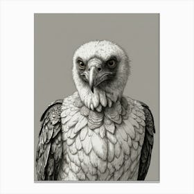 Eagle 9 Canvas Print