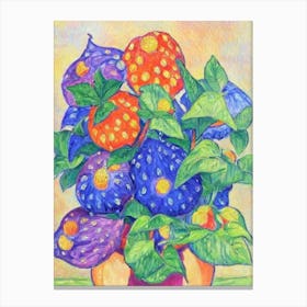 Kiwano Vintage Sketch Fruit Canvas Print