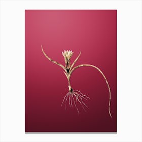 Gold Botanical Ixia Recurva on Viva Magenta n.0826 Canvas Print