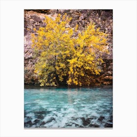 Turquoise Water Yellow Tree Canvas Print
