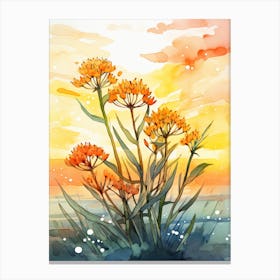 Butterfly Weed Wildflower With Sunset In Watercolor Style (2) Canvas Print